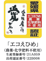 エコえひめ　ロゴ