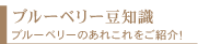 ブルーベリーの豆知識