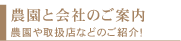農園と会社のご案内